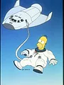 Die Simpsons S5 E15