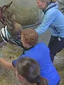 Dierendokters 24/7