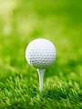 PGA Champions Tour : Open de Grand Blanc