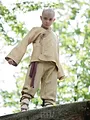Die Legende von Aang