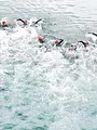 Triathlon : World Triathlon Series