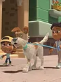 Team Zenko Go S2 E2