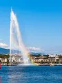 Geneva Witness