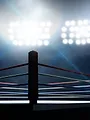 All Elite Wrestling : All In