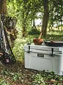 Cuisine de chasseur