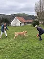 XYZ - Die Generationenlüge