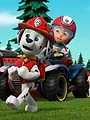 Paw Patrol S9 E8