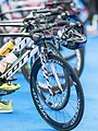 Triathlon : World Triathlon Championship Series