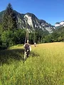 Autriche, la salza des moucheurs