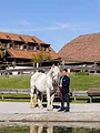 Eine Zuflucht für Tiere - Gut Aiderbichl