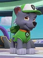 Paw Patrol S10 E21