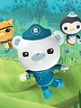 Les Octonauts S3 E9