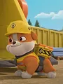 Rubble & Crew S1 E49
