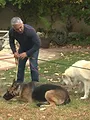 SOS Cesar