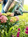 Gardeners' World