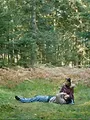Tomber l'amour