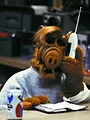 Alf S4 E24