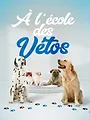 A l'école des vétos