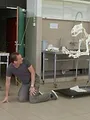 Dierendokters 24/7