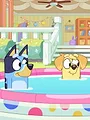 Bluey Minisodes S1 E14