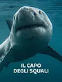 Requin Alpha, maître des océans