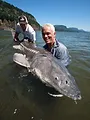 River Monsters