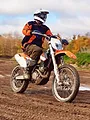 Motocross des nations