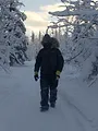 Alaska : nouvelle vie