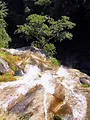 Les nouveaux sanctuaires de la nature