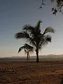 Invitation au voyage