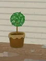 Nelli en Nora S1 E15