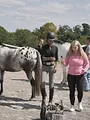 Le monde de Baylen