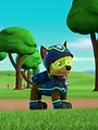 Paw Patrol S6 E7
