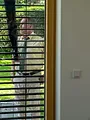Hubert ohne Staller S11 E12