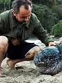 Fernweh: Karibik