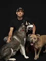 Dog Impossible : Seconde chance