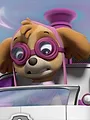 Pat' Patrouille S7 E11